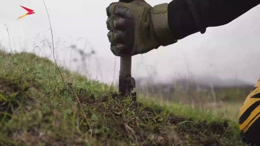 Ну что, поехали за культурой!