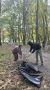 Управление по контролю за городским хозяйством продолжает бороться за порядок в городе