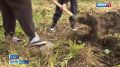 В Северной Осетии действует 26 агротехнологических классов, что стало возможным благодаря федеральному финансированию
