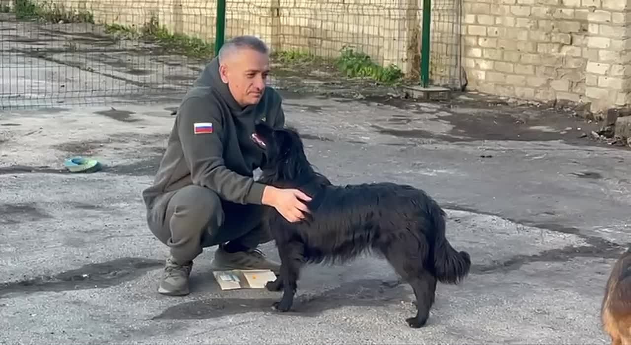«Забрав одну собаку, вы вносите большой вклад» - Ибрагим Гобеев о проблеме бездомных животных