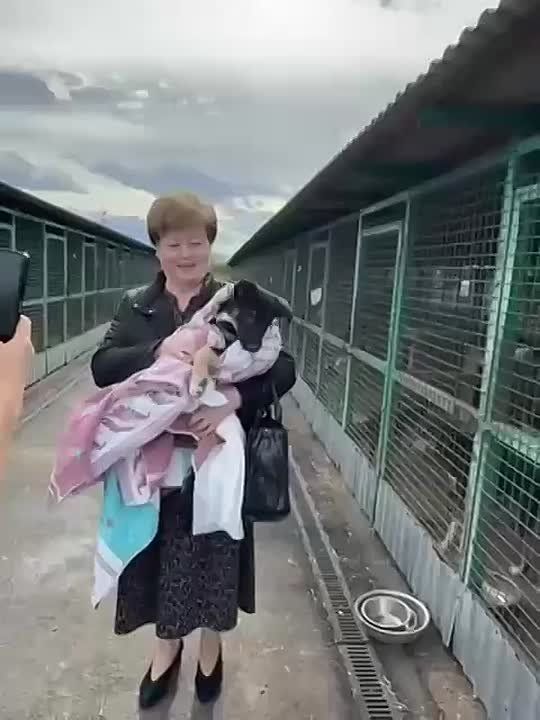    .      -      - ,           ,    ...