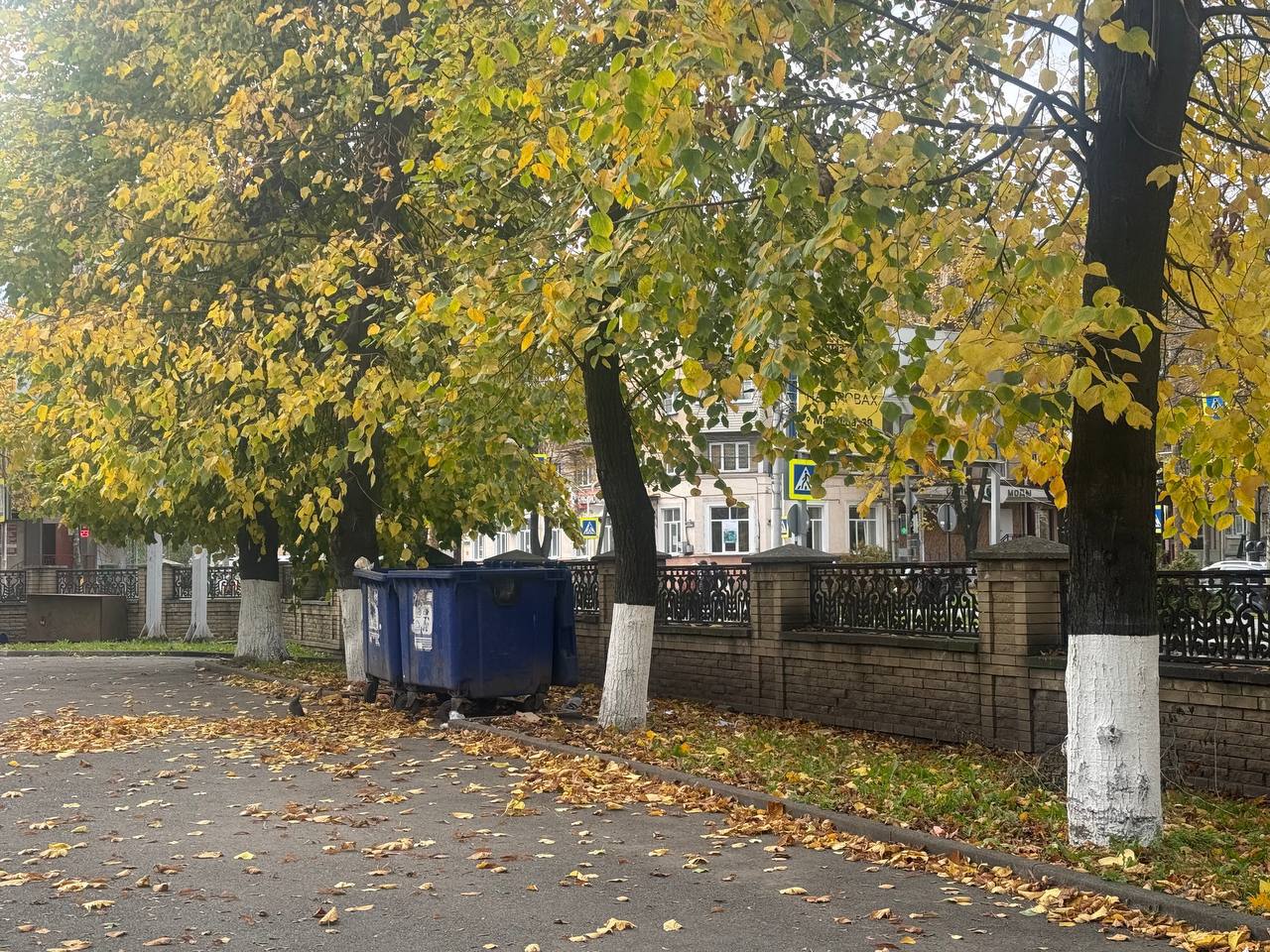 В правобережной части Владикавказа прошли субботники В правобережной части Владикавказа прошли субботники