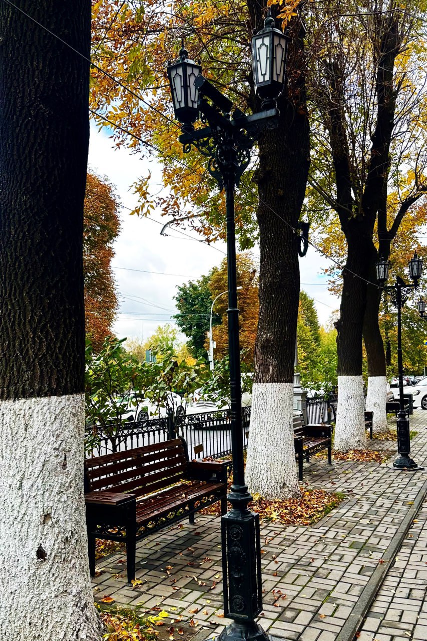 #ФотоДня. Республика Северная Осетия – Алания, Владикавказ #ФотоДня. Республика Северная Осетия – Алания, Владикавказ