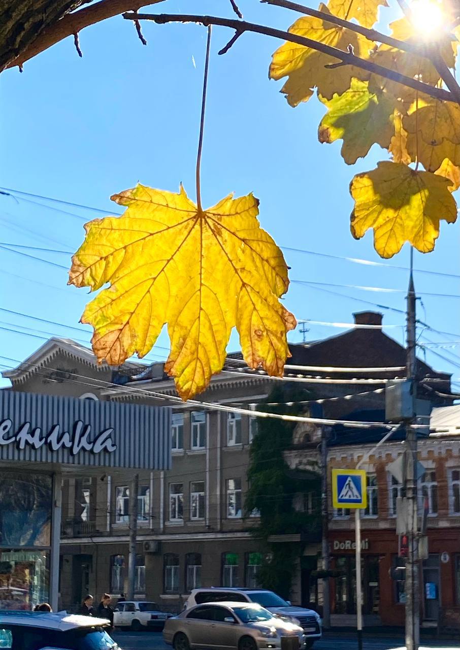 «Уж небо осенью дышало...» «Уж небо осенью дышало...»