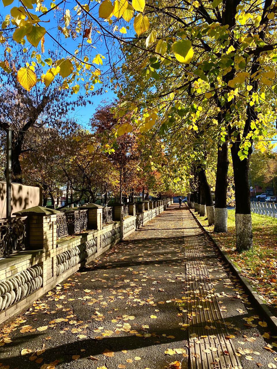 «Уж небо осенью дышало...» «Уж небо осенью дышало...»