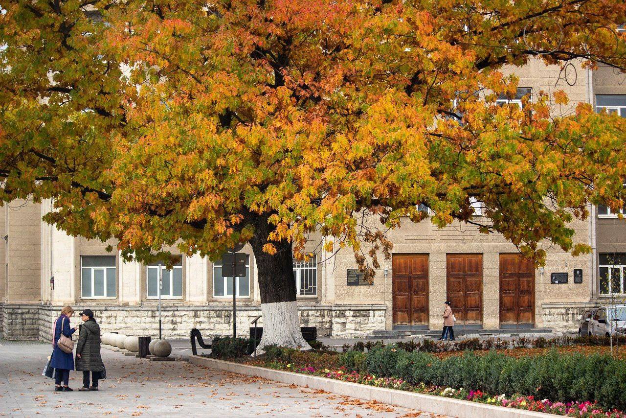 «Уж небо осенью дышало...»