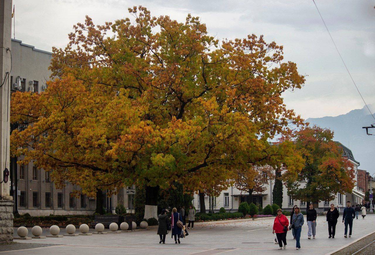 «Уж небо осенью дышало...» «Уж небо осенью дышало...»