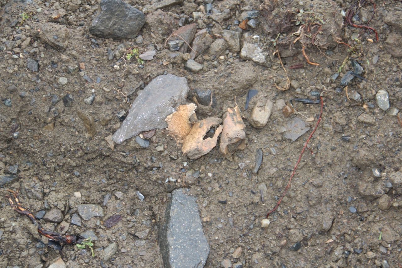 Комнаследия остановил земляные работы на территории архитектурного комплекса в Зарамаге Комнаследия остановил земляные работы на территории архитектурного комплекса в Зарамаге