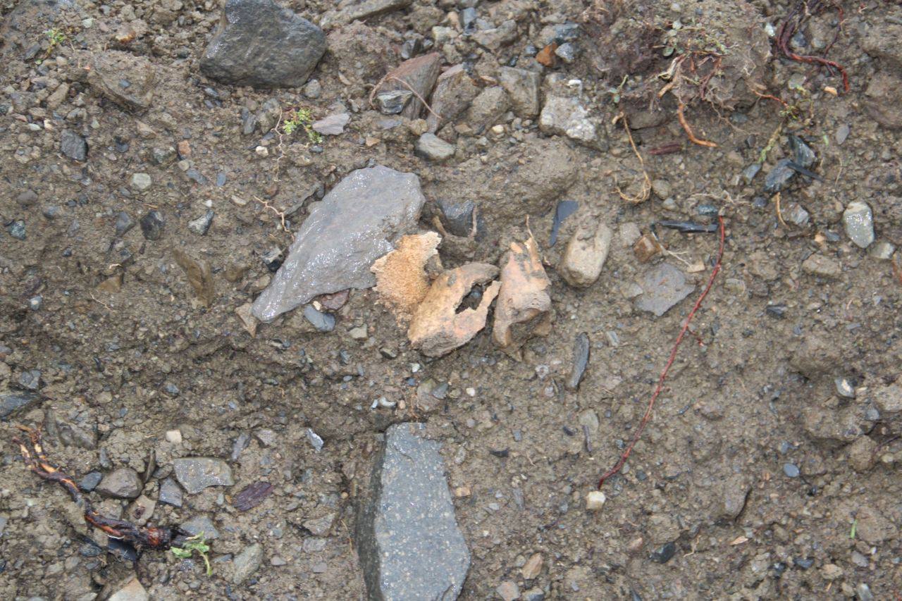 Грубые нарушения закона выявили при проведении земляных работ на территории архитектурного комплекса в селении Верхний Зарамаг, сообщает пресс-служба комитета по охране культурного наследия Грубые нарушения закона выявили при проведении земляных работ на территории архитектурного комплекса в селении Верхний Зарамаг, сообщает пресс-служба комитета по охране культурного наследия