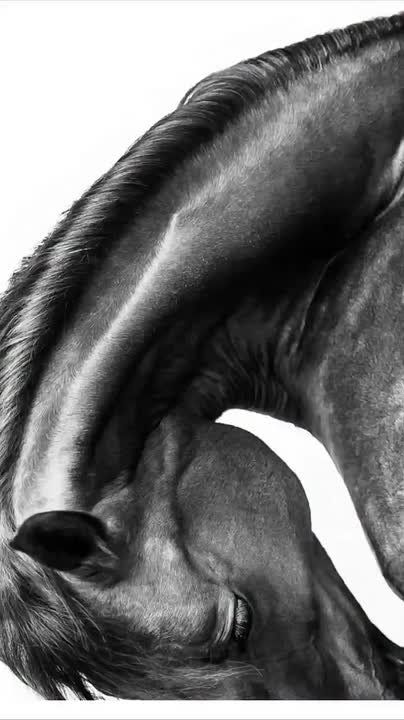 Доброе утро, Осетия!. Во Владикавказе ожидается облачная с прояснениями погода