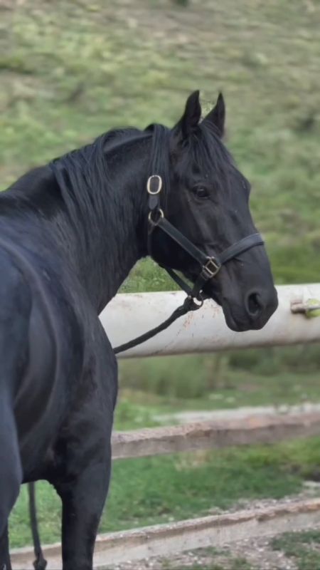 Доброе утро, Осетия!. Во Владикавказе ожидается облачная с прояснениями погода