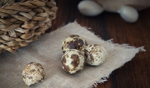 Как долго варить перепелиные яйца, чтобы не повредить скорлупу: полезные советы