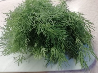 Как заморозить зелень без потери цвета и аромата: проверенные методы хозяек