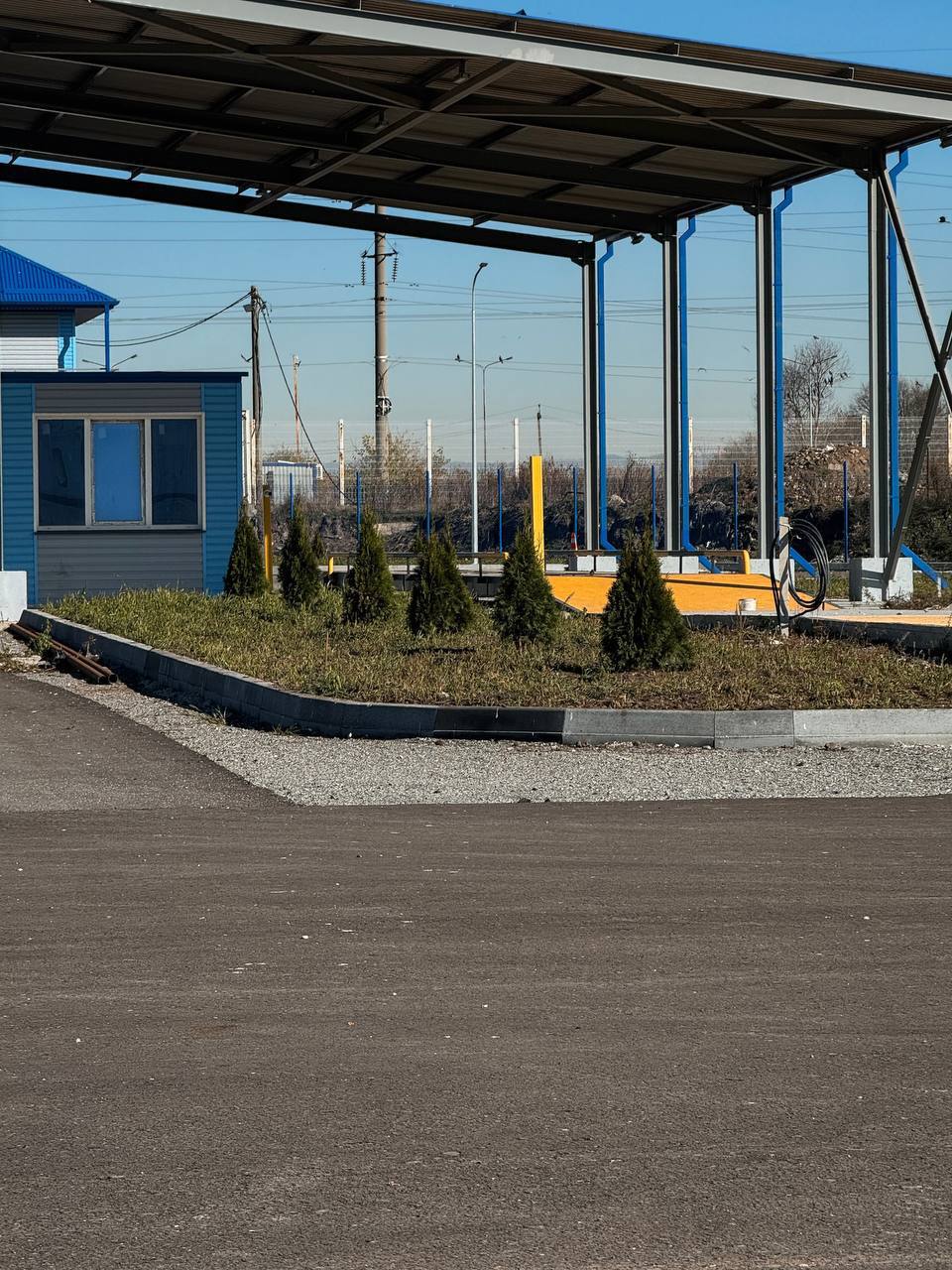 Региональный оператор ЭРА озеленил полигон: высажено 250 туй Региональный оператор ЭРА озеленил полигон: высажено 250 туй