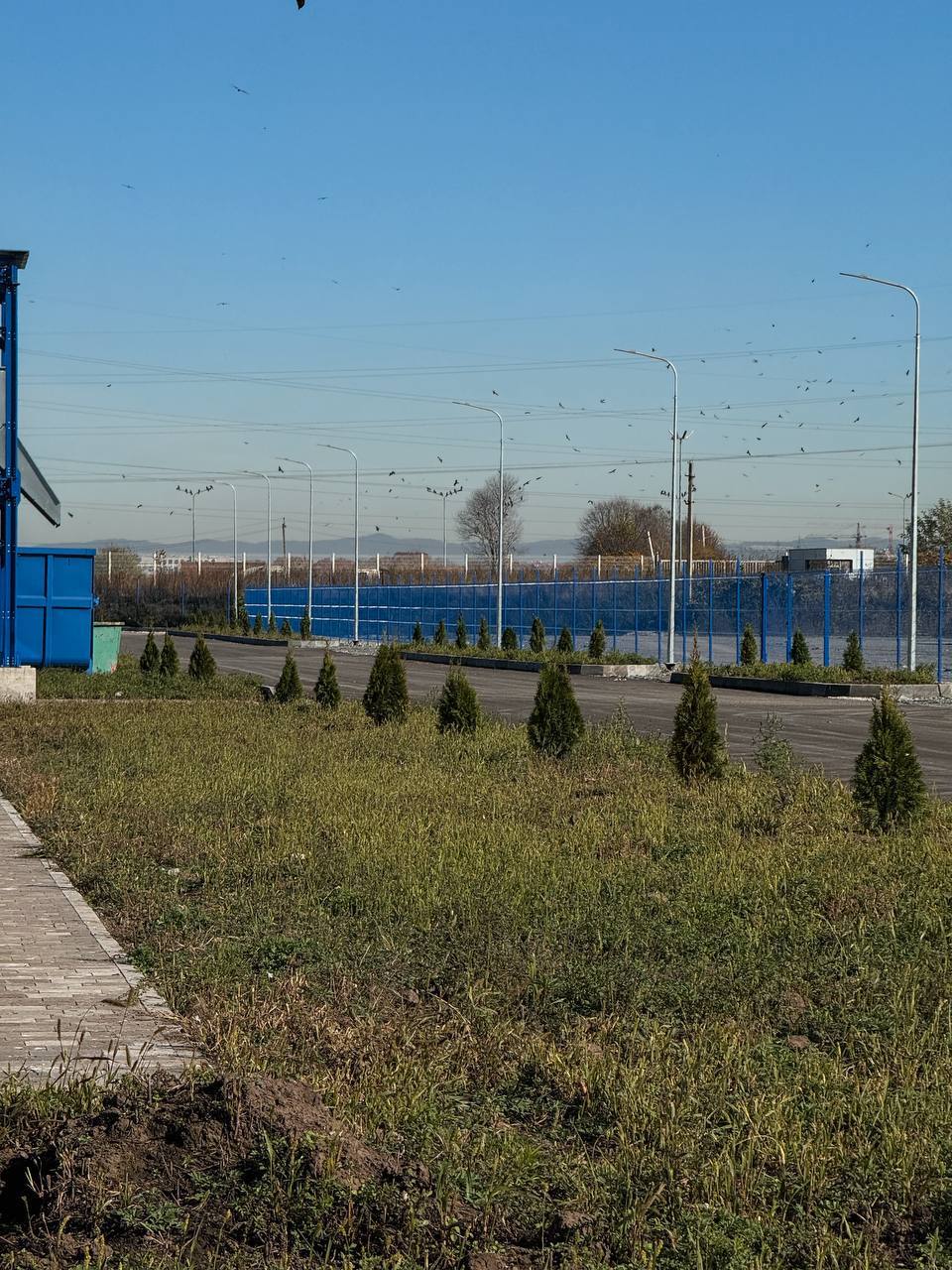 Региональный оператор ЭРА озеленил полигон: высажено 250 туй Региональный оператор ЭРА озеленил полигон: высажено 250 туй