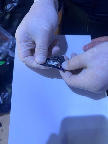 «Нетрадиционная начинка или Вот такие пироги» «Нетрадиционная начинка или Вот такие пироги»