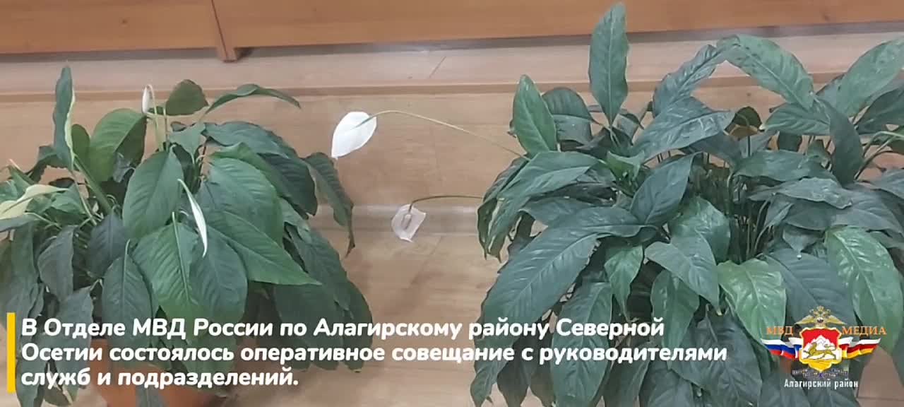 В Отделе МВД России по Алагирскому району Северной Осетии состоялось оперативное совещание с руководителями служб и подразделений