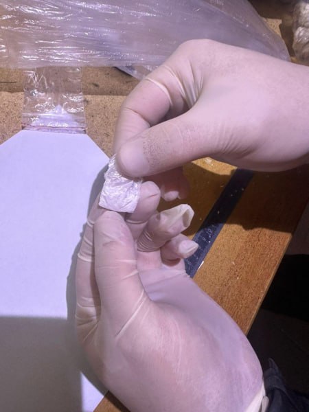 «Нетрадиционная начинка или Вот такие пироги» «Нетрадиционная начинка или Вот такие пироги»