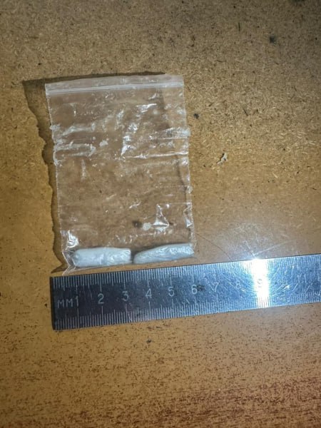 «Нетрадиционная начинка или Вот такие пироги» «Нетрадиционная начинка или Вот такие пироги»