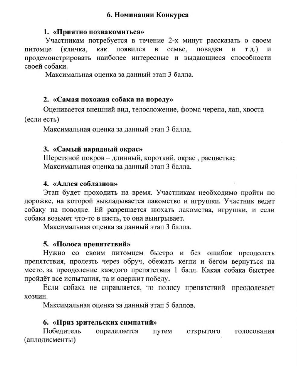 У них нет породы, но есть сердце У них нет породы, но есть сердце