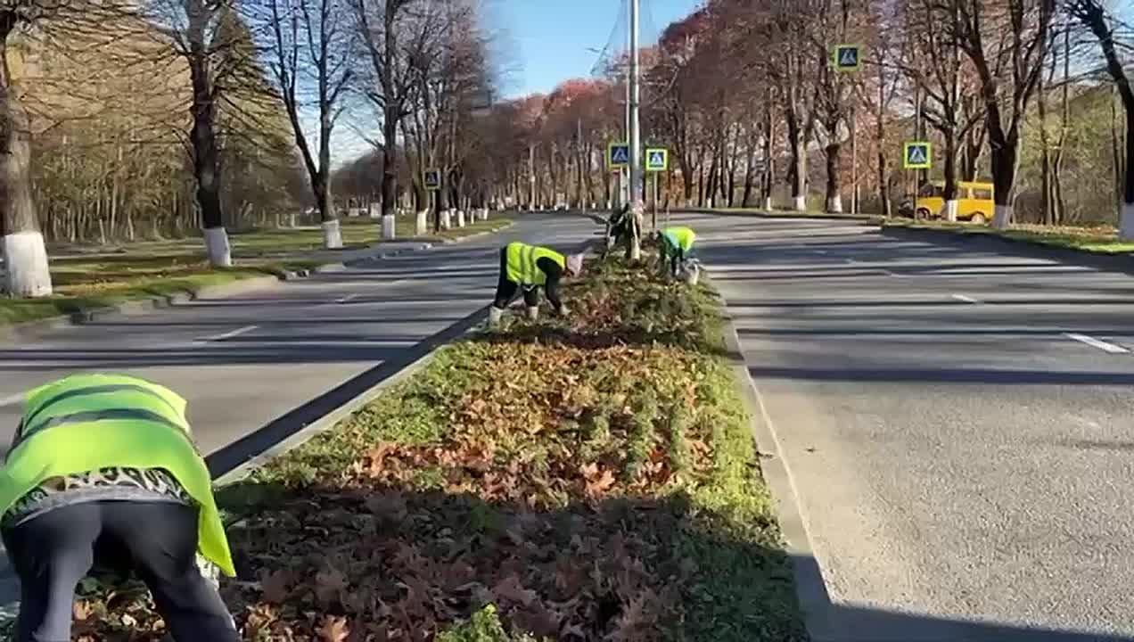 За прошедшую неделю специалисты предприятия «Владзеленстрой» выполнили следующие работы: