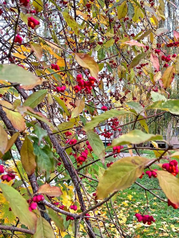 Фото Т. Шеходановой. Дайте себе время для отдыха Пусть немножко