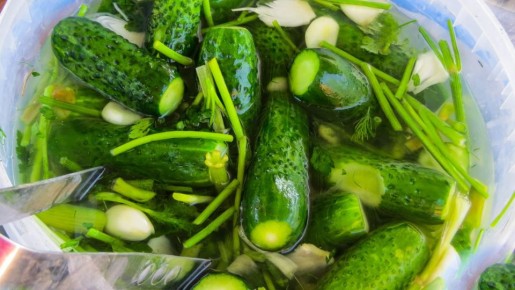 Восхитительные малосольные огурцы без уксуса: даже банки стерилизовать не придется