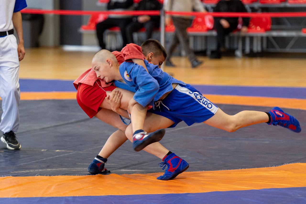 Во Владикавказе пройдет открытый турнир по случаю Дня самбо