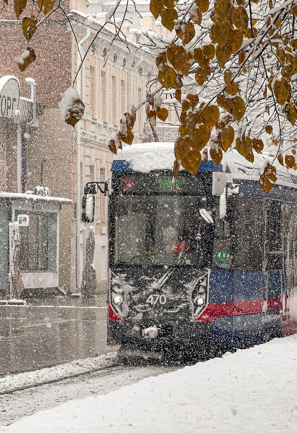 Осень поставила лето на паузу Осень поставила лето на паузу