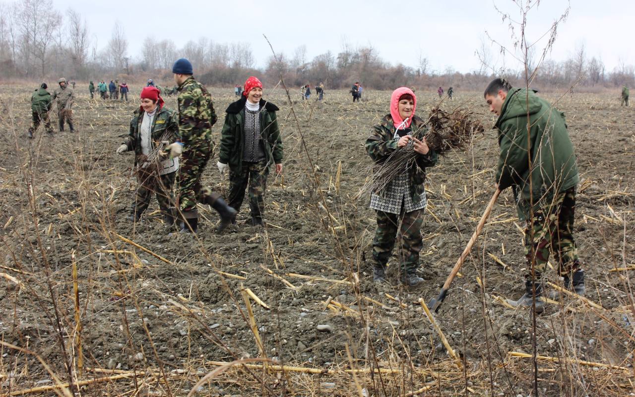 В Северной Осетии по нацпроекту «Экологическое благополучие» проведено лесовосстановление на площади 90 гектаров, из них искусственное лесовосстановление – на 5 га, содействие естественному – на 85 га