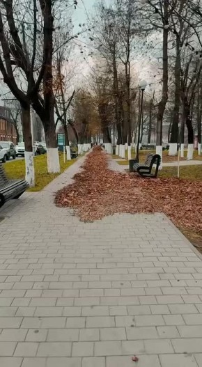 Убираем листву на улице Чермена Баева