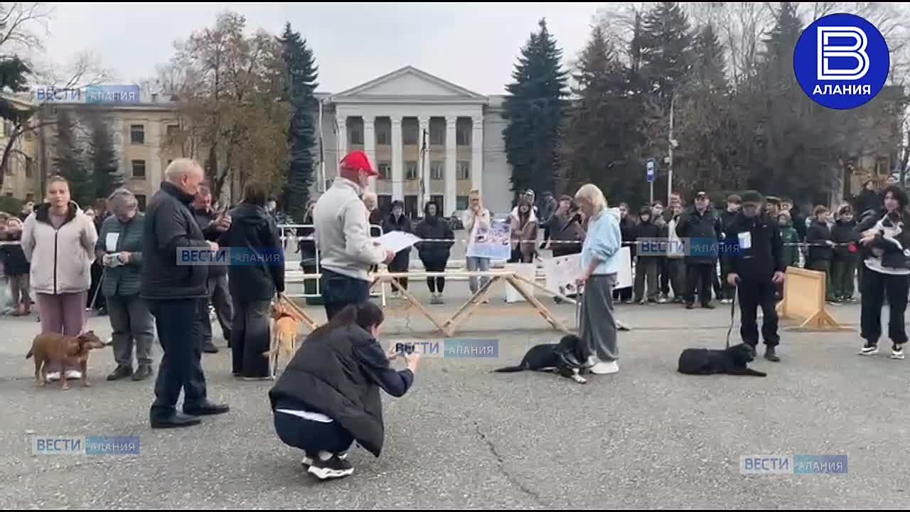 Первый республиканский конкурс "Собачье сердце" проходит во Владикавказе