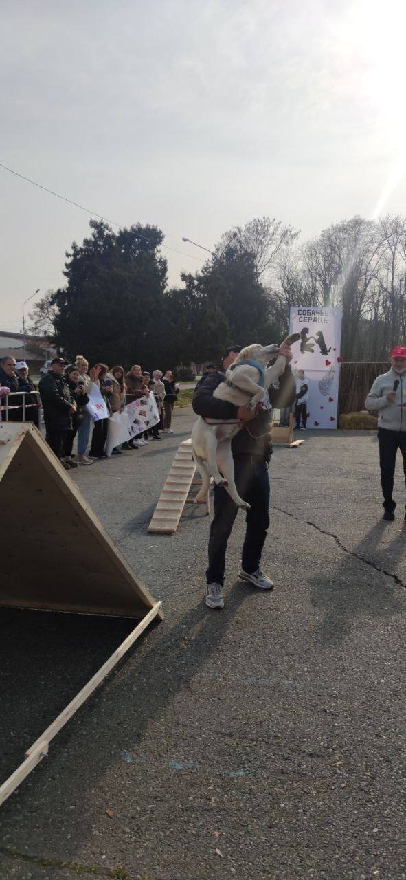 Во Владикавказе впервые прошёл республиканский конкурс «Собачье сердце» Во Владикавказе впервые прошёл республиканский конкурс «Собачье сердце»