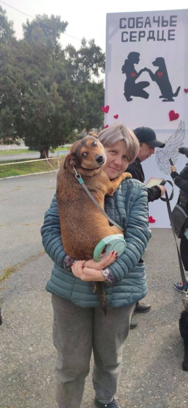 Во Владикавказе впервые прошёл республиканский конкурс «Собачье сердце»