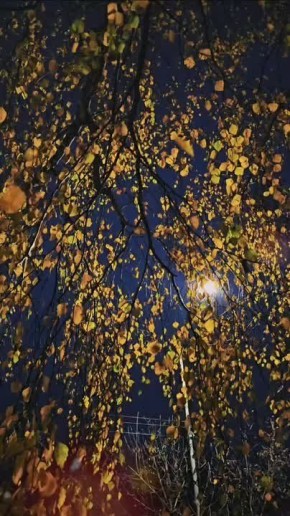 Доброй ночи, Владикавказ!. Хрзхсвт кнут!