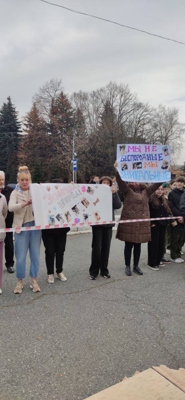 Во Владикавказе впервые прошёл республиканский конкурс «Собачье сердце» Во Владикавказе впервые прошёл республиканский конкурс «Собачье сердце»