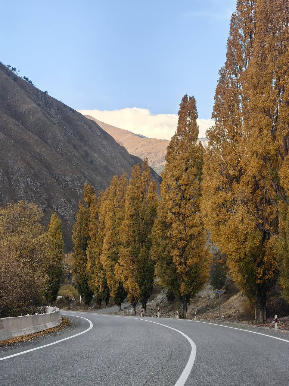 ДОБРОГО воскресного утра и отличного настроения!