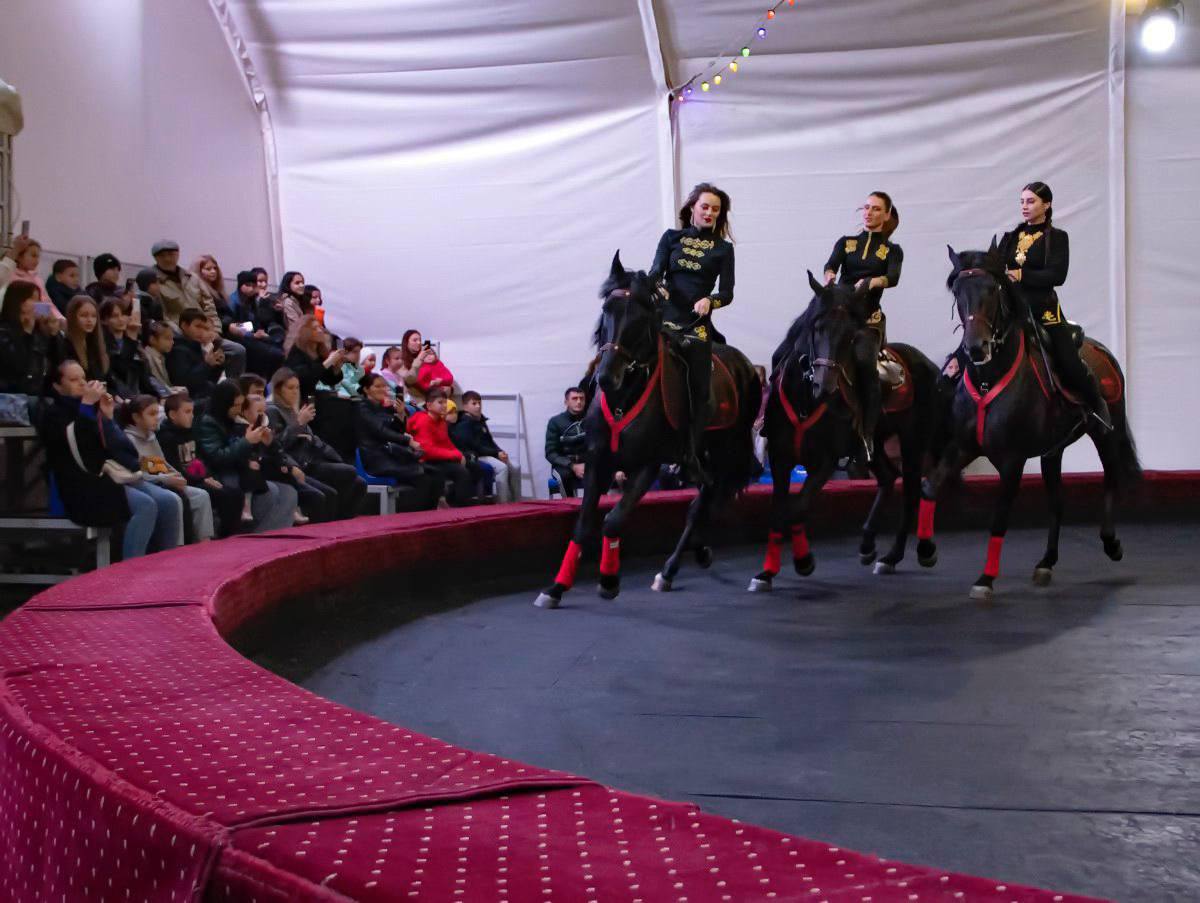 Сергей Меняйло: Театры, музеи, кинотеатры, различные мастер-классы и другие интересные мероприятия могут бесплатно посещать дети участников специальной военной операции