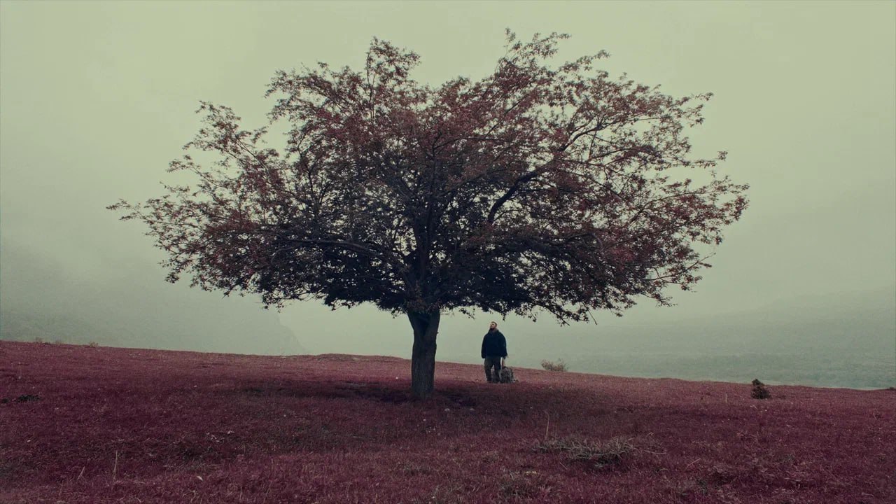 Документальный фильм "Там, где наш дом: Северная Осетия" выходит в прокат