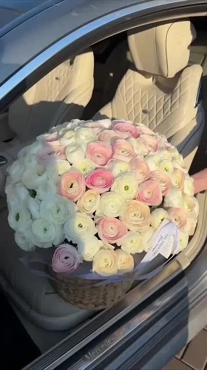 Доброе утро, Осетия!. Во Владикавказе ожидается облачная с прояснениями погода