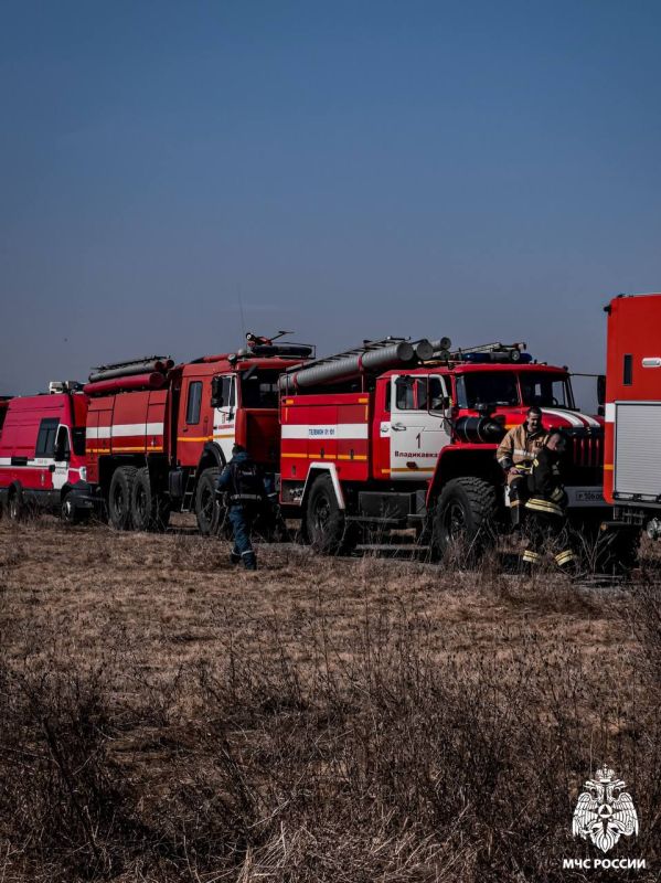 Коротко о главном .