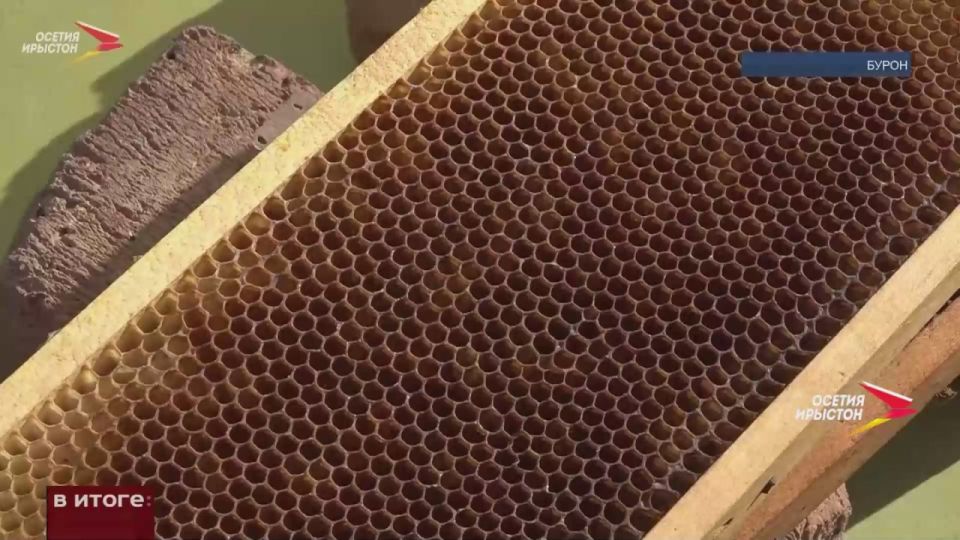 Мед с горной пасеки Кабалоевых высоко оценили на Всероссийском конкурсе