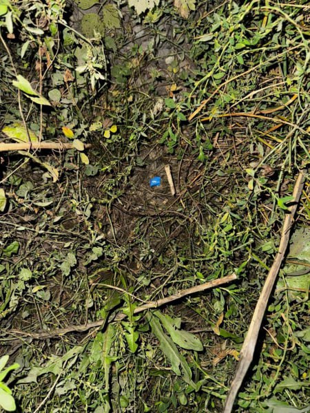 Полицейские отдела полиции №2 Владикавказа пресекли канал сбыта метадона, наркосбытчик из Средней Азии находится под арестом Полицейские отдела полиции №2 Владикавказа пресекли канал сбыта метадона, наркосбытчик из Средней Азии находится под арестом