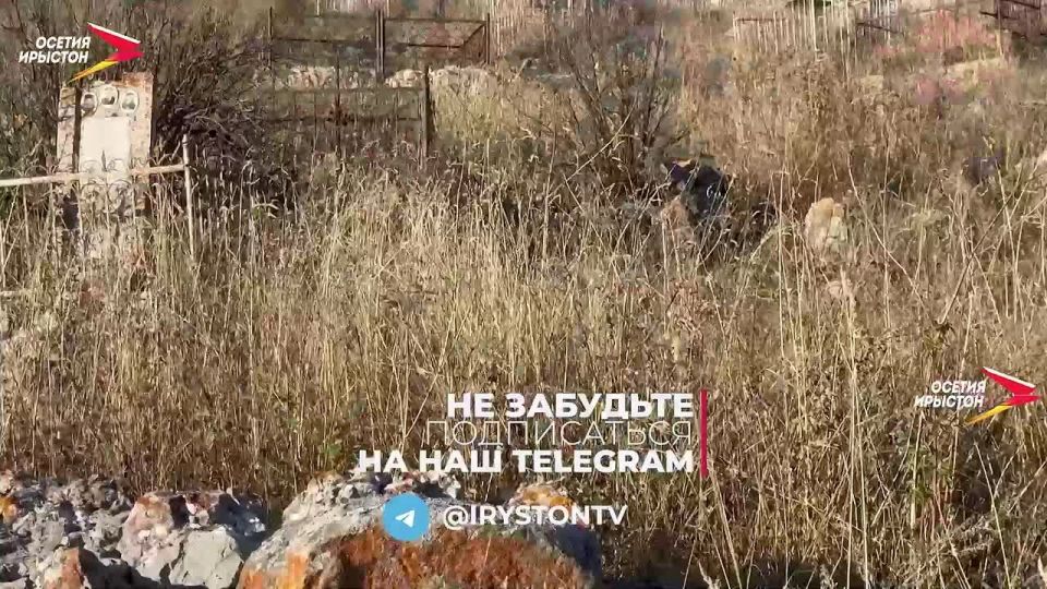 В новом выпуске #Вокзалдлядвоих вы увидите, как двое ведущих отправляются в увлекательное путешествие, но по разным маршрутам