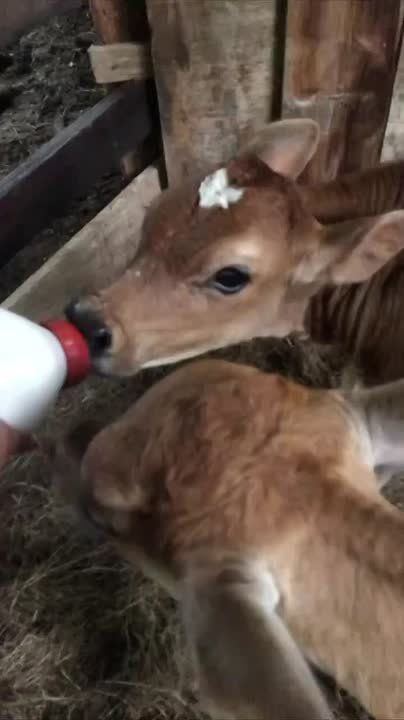 Доброе утро, Осетия!. Во Владикавказе ожидается облачная с прояснениями погода