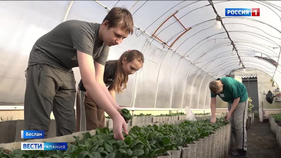 Более 200 человек заключили соцконтракты с начала года в Правобережном районе