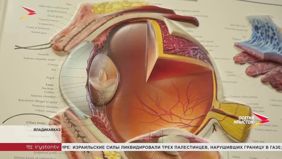 Отделение офтальмологии и нейрохирургии республики стало настоящим спасением для сотен детей