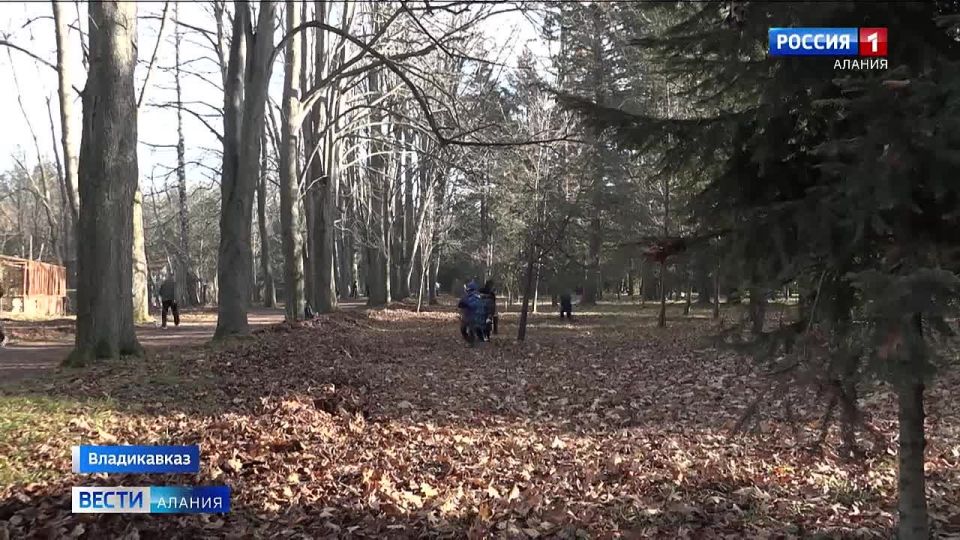 Субботники провели на мемориале "Барбашово поле" и в Дендрарии