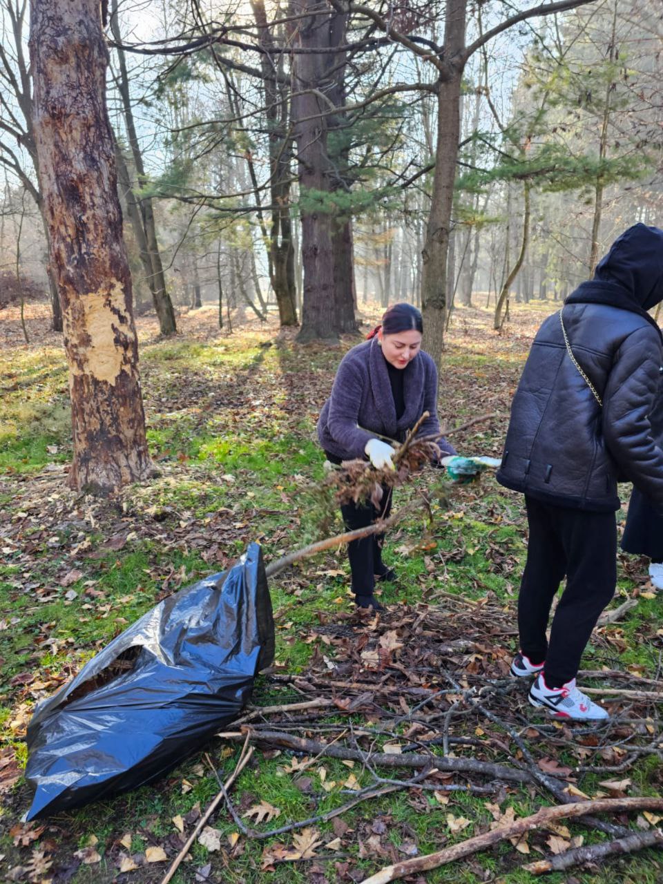 Более 200 человек вышли на массовый субботник в парке «Дендрарий» Более 200 человек вышли на массовый субботник в парке «Дендрарий»