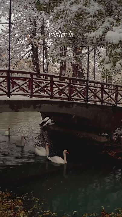 Календарь говорит нам, что зима уже здесь! Хотя глядя на улицу, в это верится с трудом